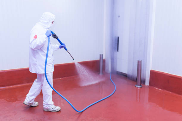 Boat and Dock Cleaning in Arnold, PA